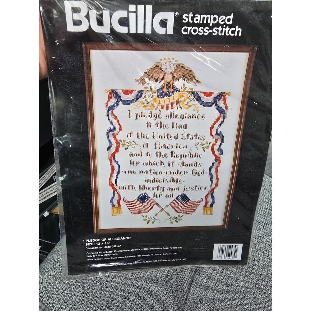 Bucilla Stamped Cross Stitch Kit Pledge of Allegiance Sealed 40485 Patriotic